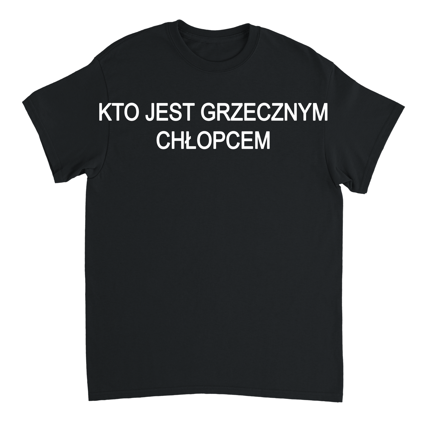 Kto jest grzecznym chłopcem T-shirt