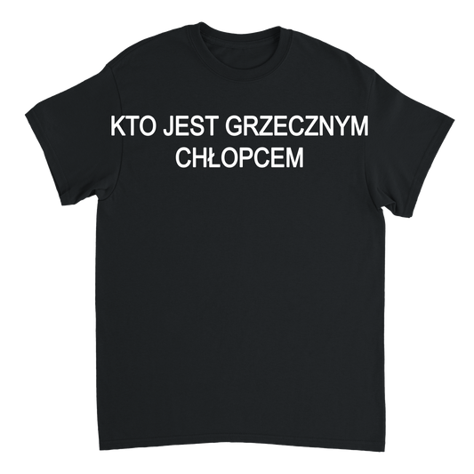Kto jest grzecznym chłopcem T-shirt